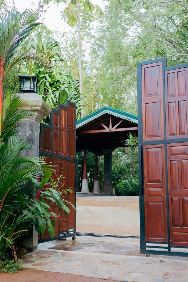 Villa Birdlake Hikkaduwa Buitenkant foto
