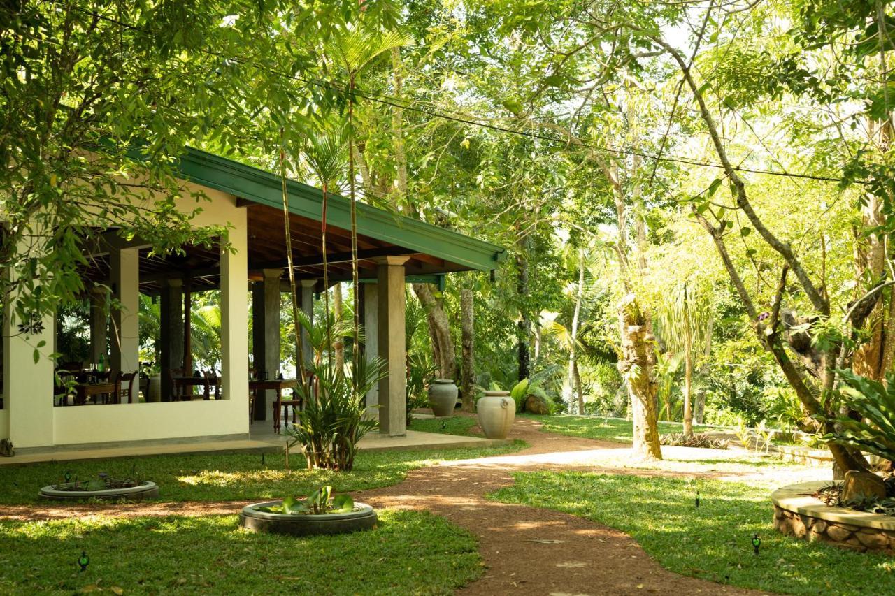 Villa Birdlake Hikkaduwa Buitenkant foto