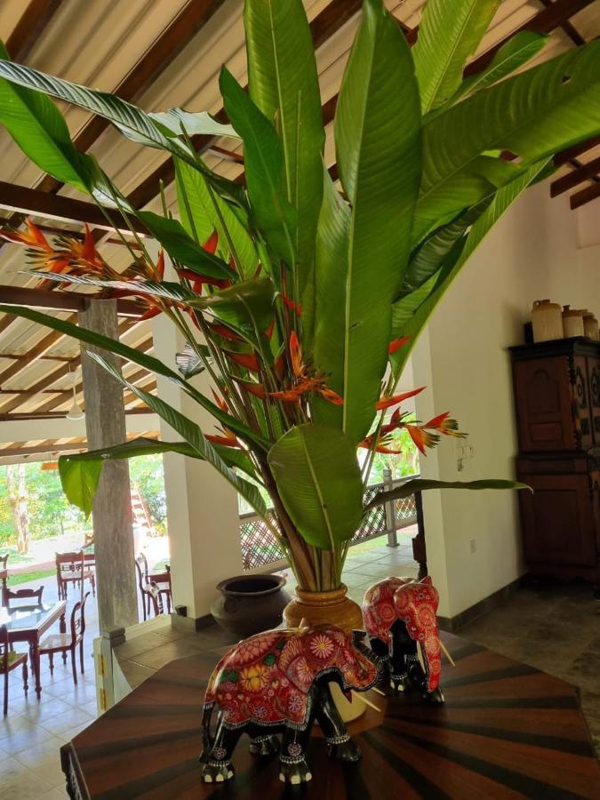 Villa Birdlake Hikkaduwa Buitenkant foto