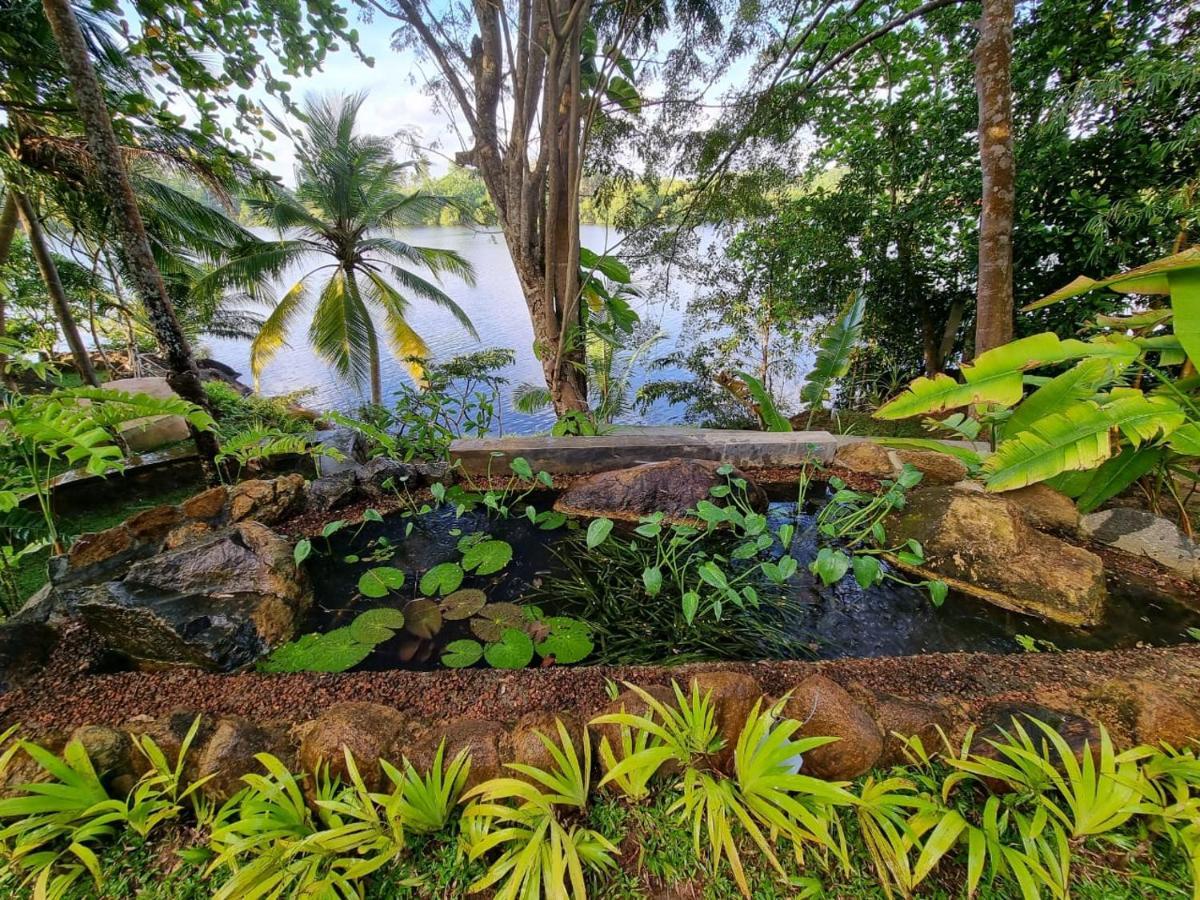 Villa Birdlake Hikkaduwa Buitenkant foto