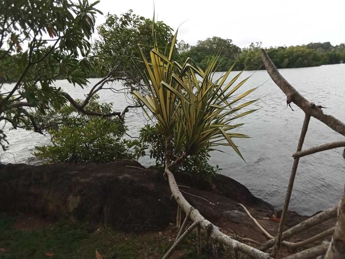 Villa Birdlake Hikkaduwa Buitenkant foto