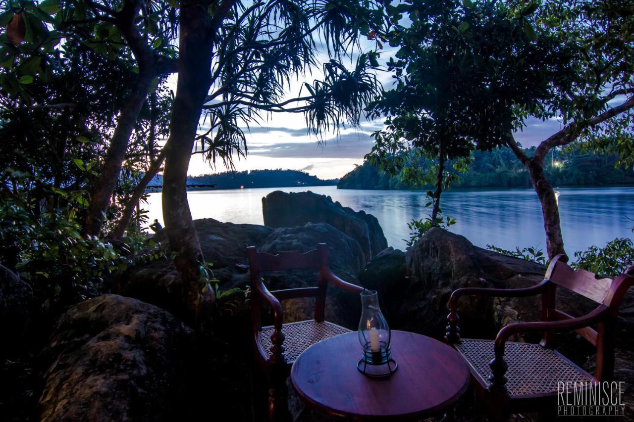 Villa Birdlake Hikkaduwa Buitenkant foto