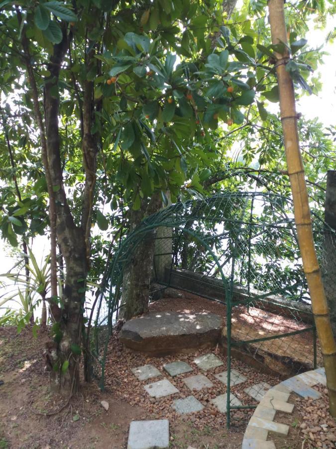 Villa Birdlake Hikkaduwa Buitenkant foto