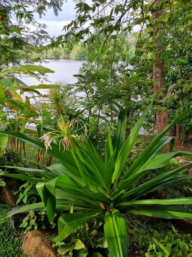 Villa Birdlake Hikkaduwa Buitenkant foto