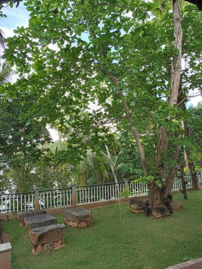 Villa Birdlake Hikkaduwa Buitenkant foto