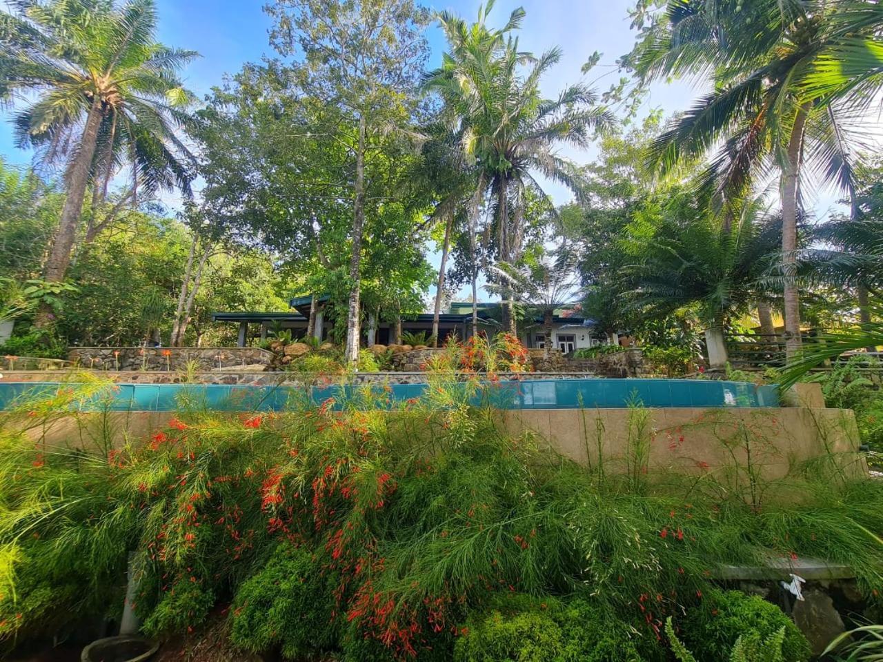 Villa Birdlake Hikkaduwa Buitenkant foto
