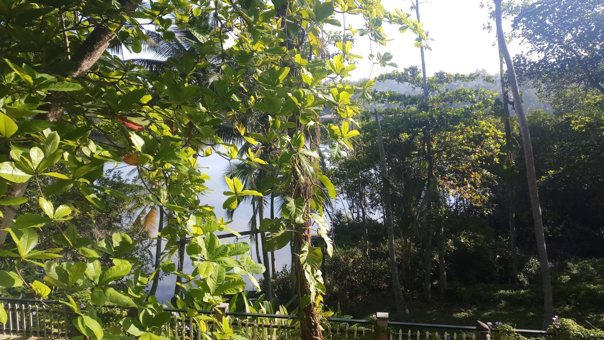 Villa Birdlake Hikkaduwa Buitenkant foto