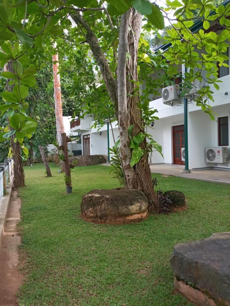Villa Birdlake Hikkaduwa Buitenkant foto
